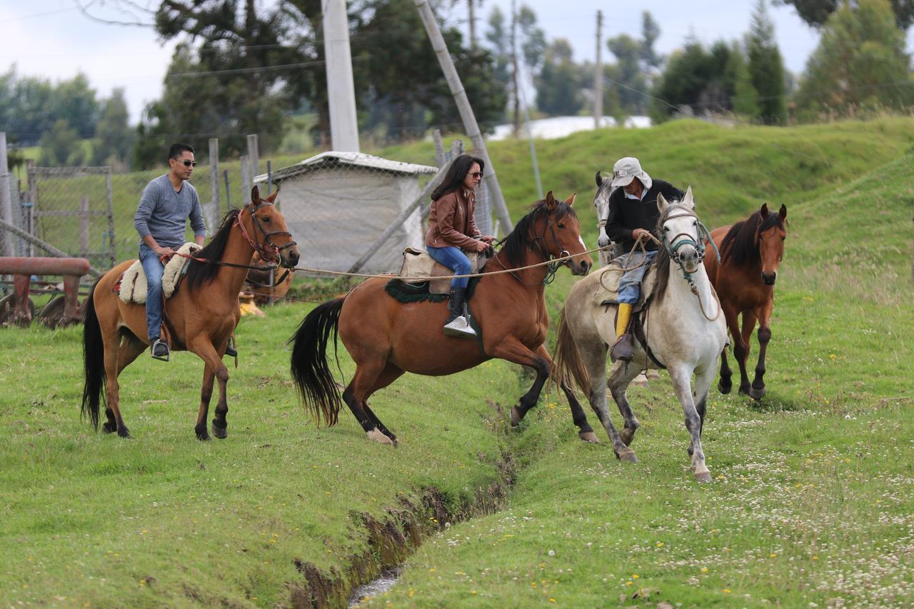 Hosteria Loma Larga Cayambe Εξωτερικό φωτογραφία