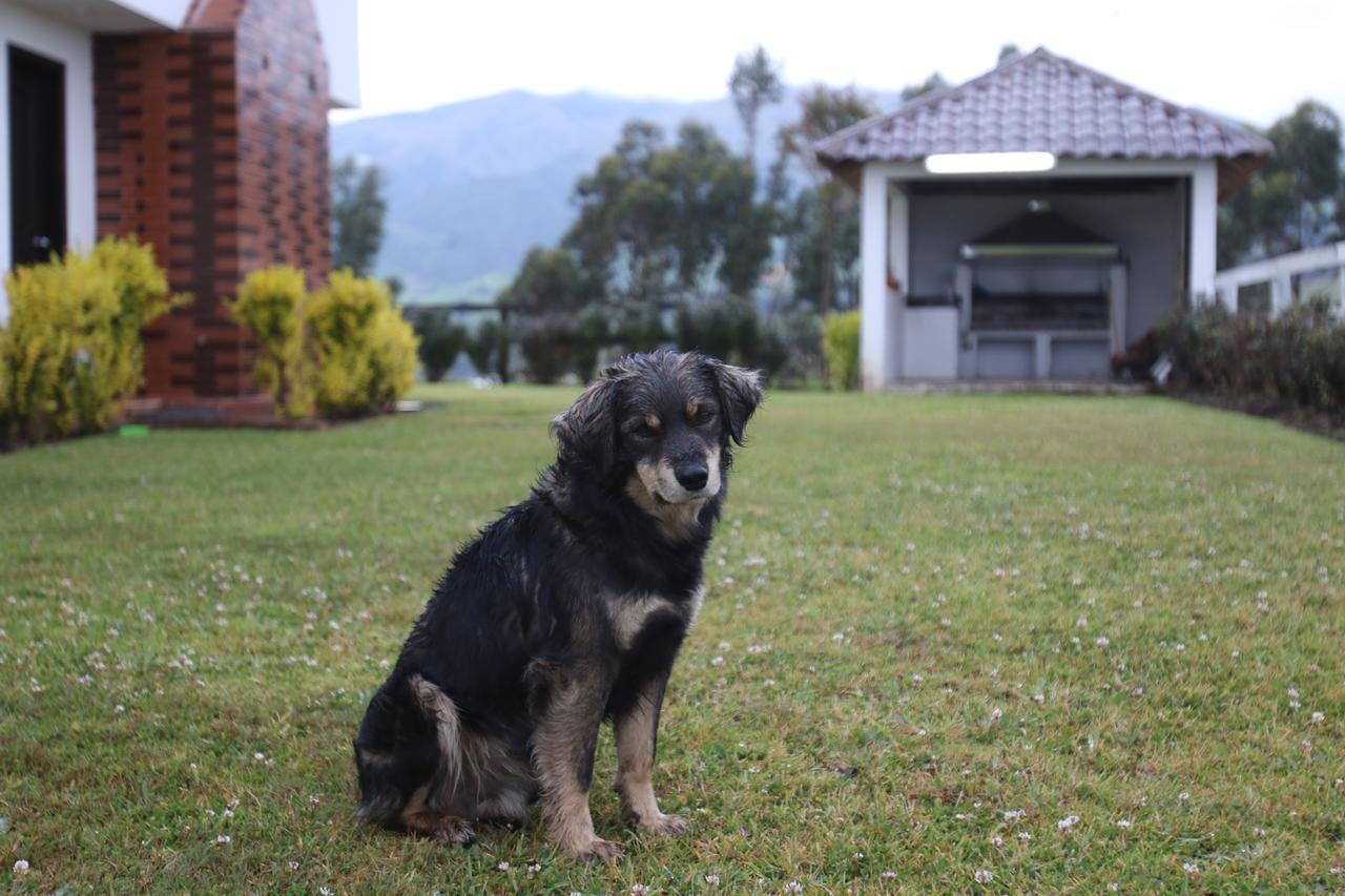 Hosteria Loma Larga Cayambe Εξωτερικό φωτογραφία